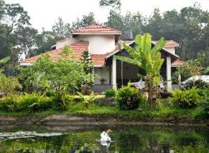 Ferns Builders & Developers by Roach Lifescapes